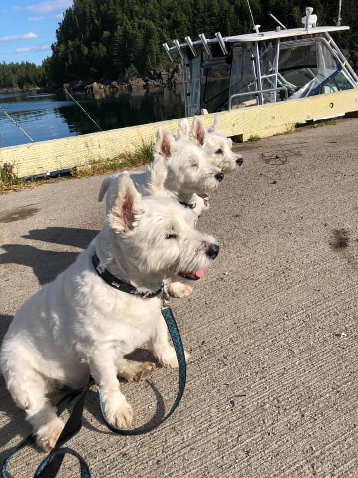 Main Gallery Display