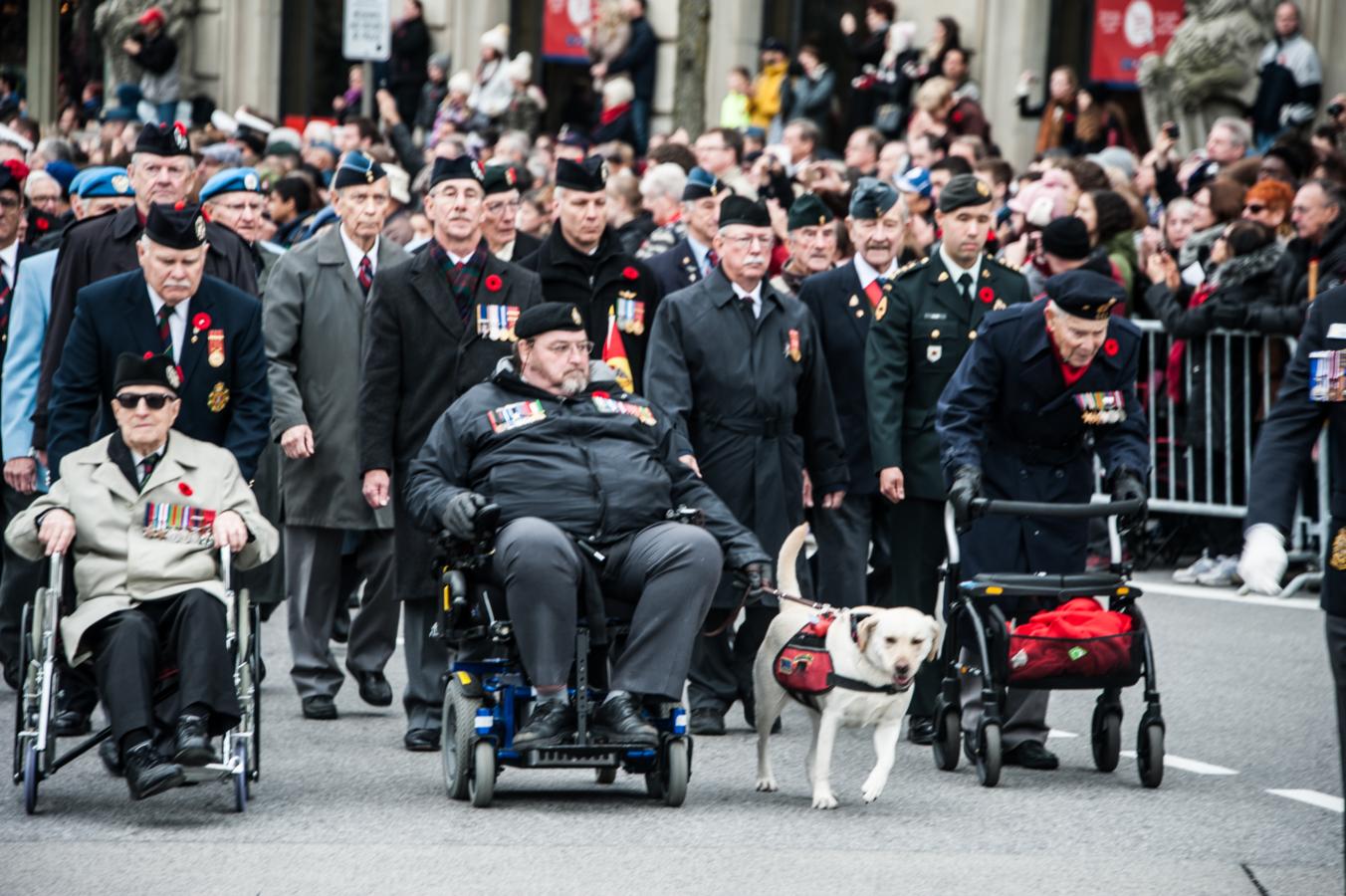 Main Gallery Display