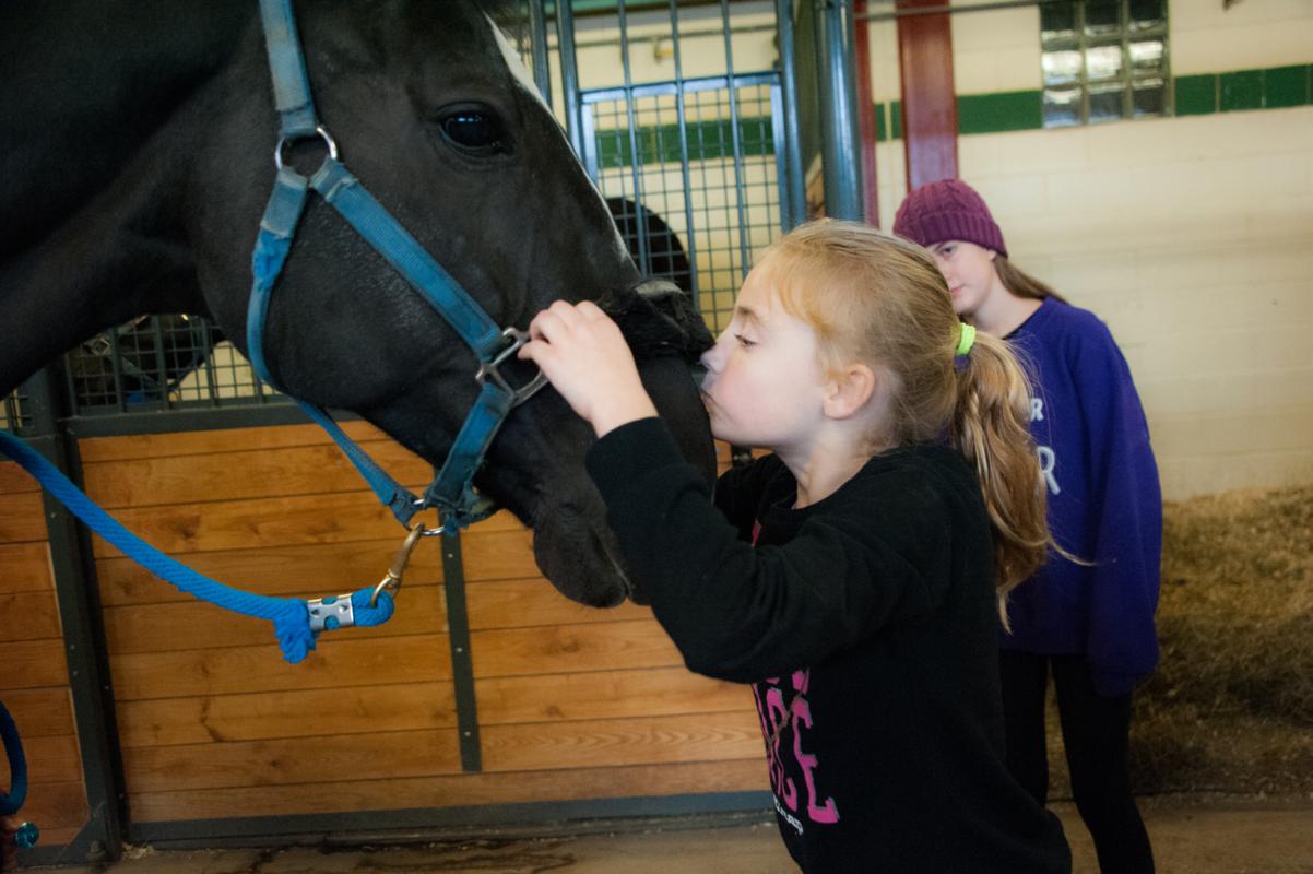 Main Gallery Display