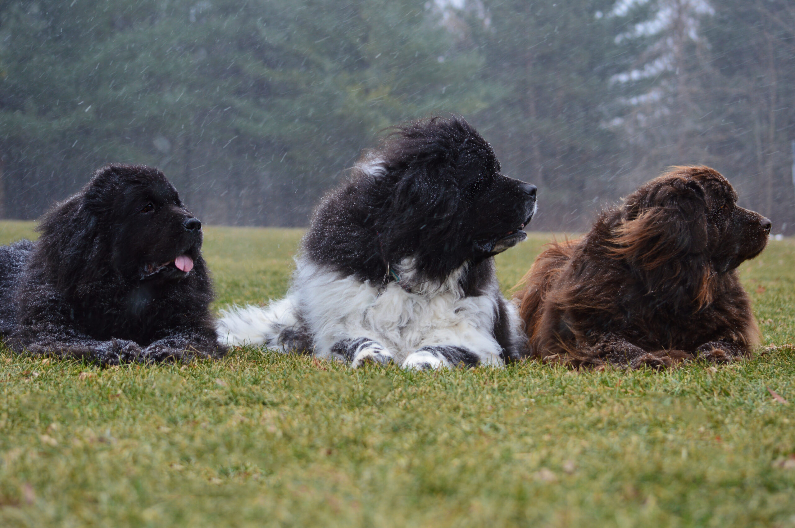 Main Gallery Display