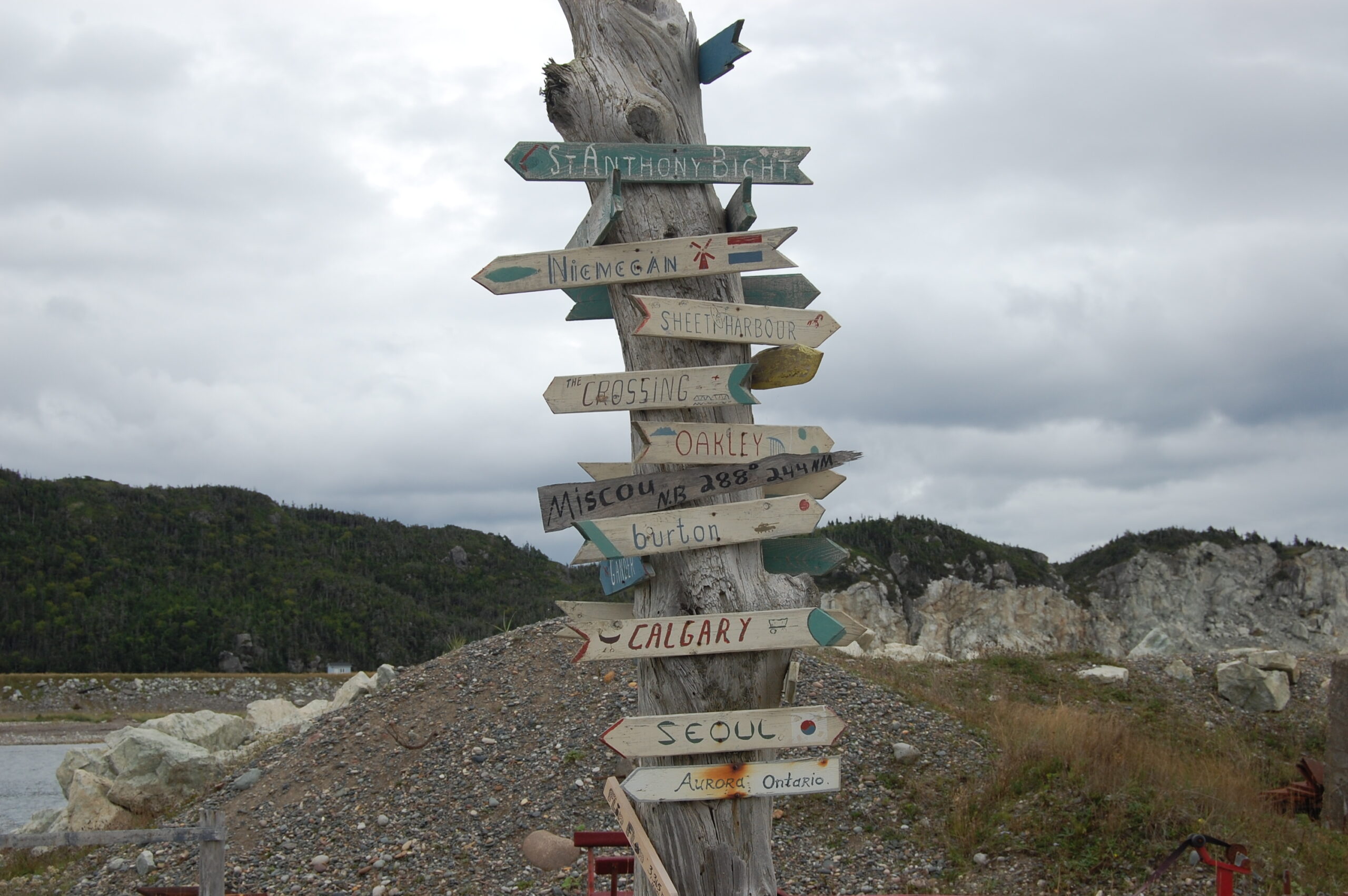 Main Gallery Display