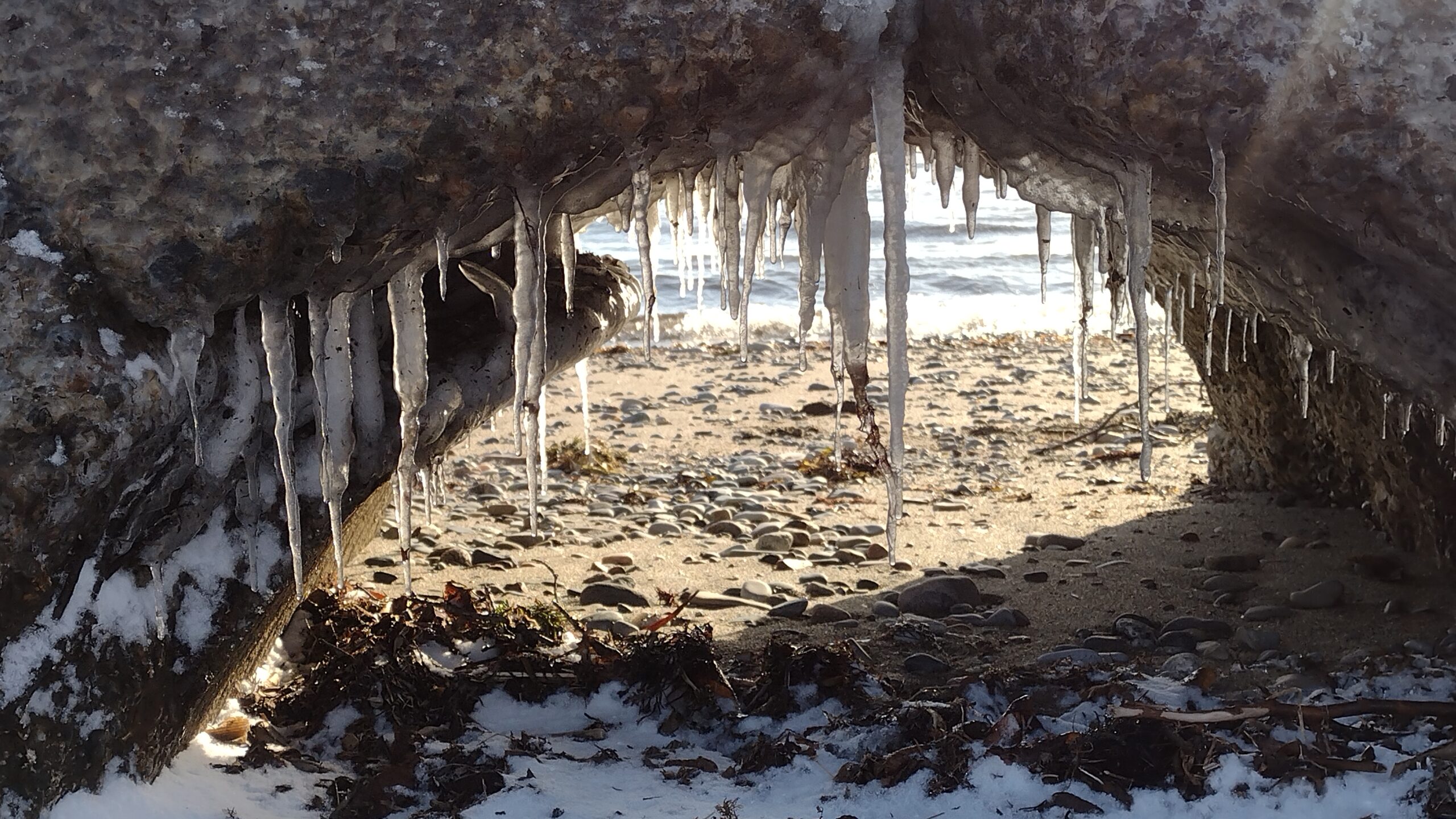 Main Gallery Display