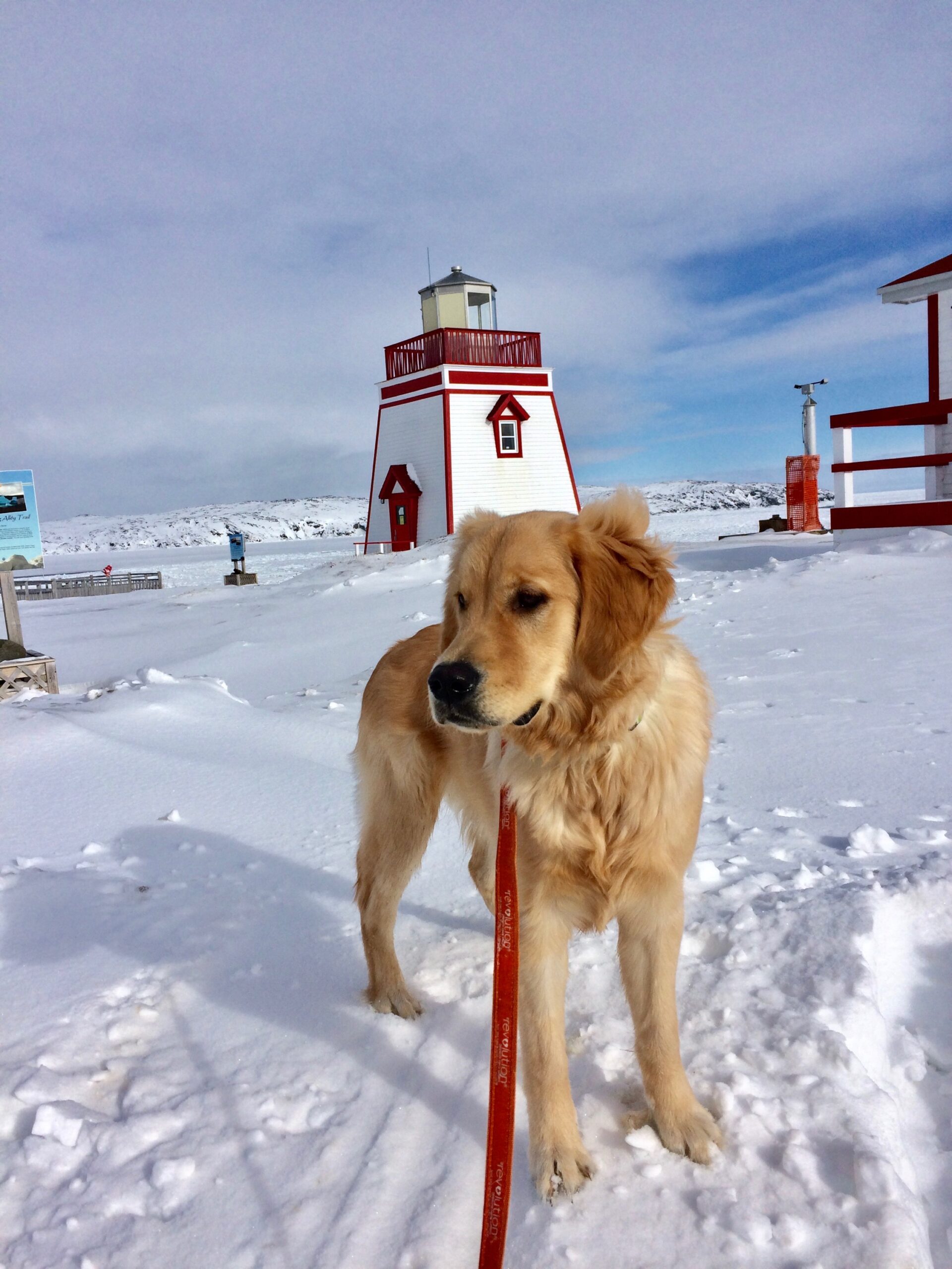Main Gallery Display