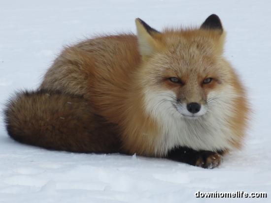 Main Gallery Display