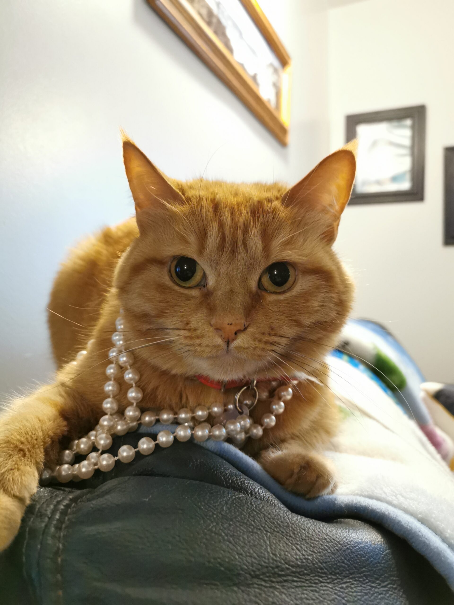 Main Gallery Display