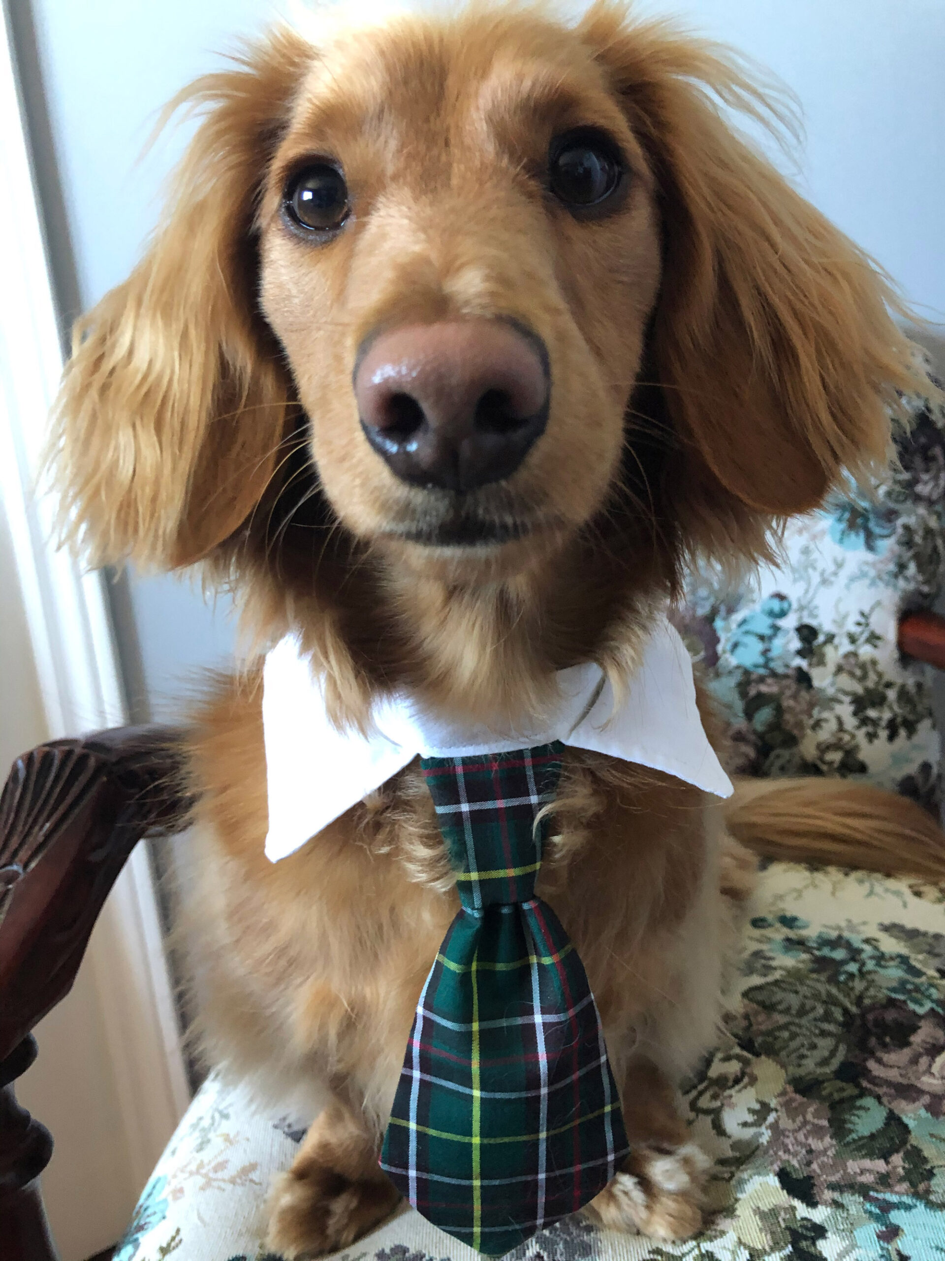 Main Gallery Display