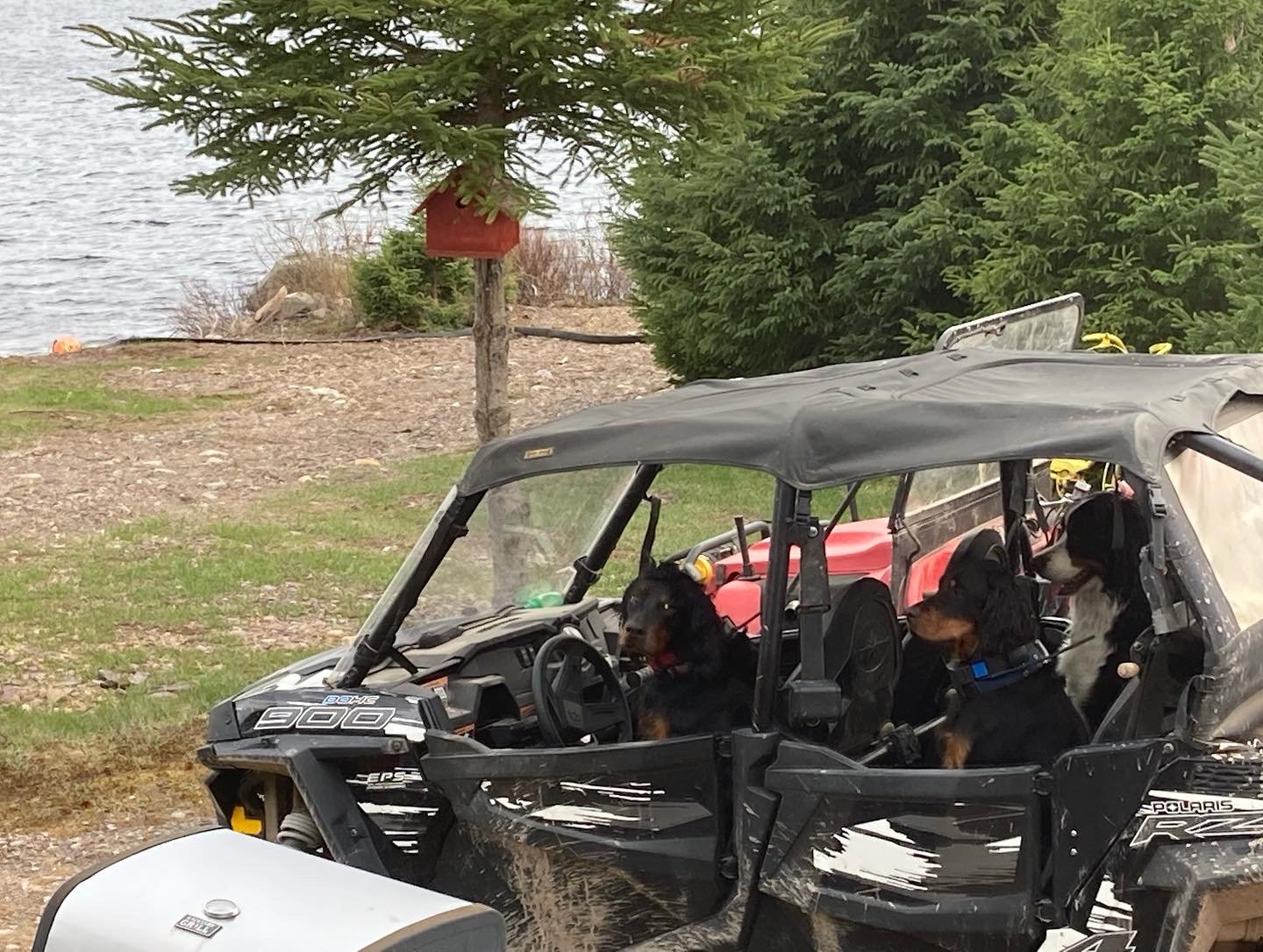 Main Gallery Display