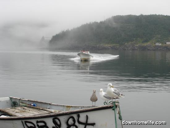 Main Gallery Display