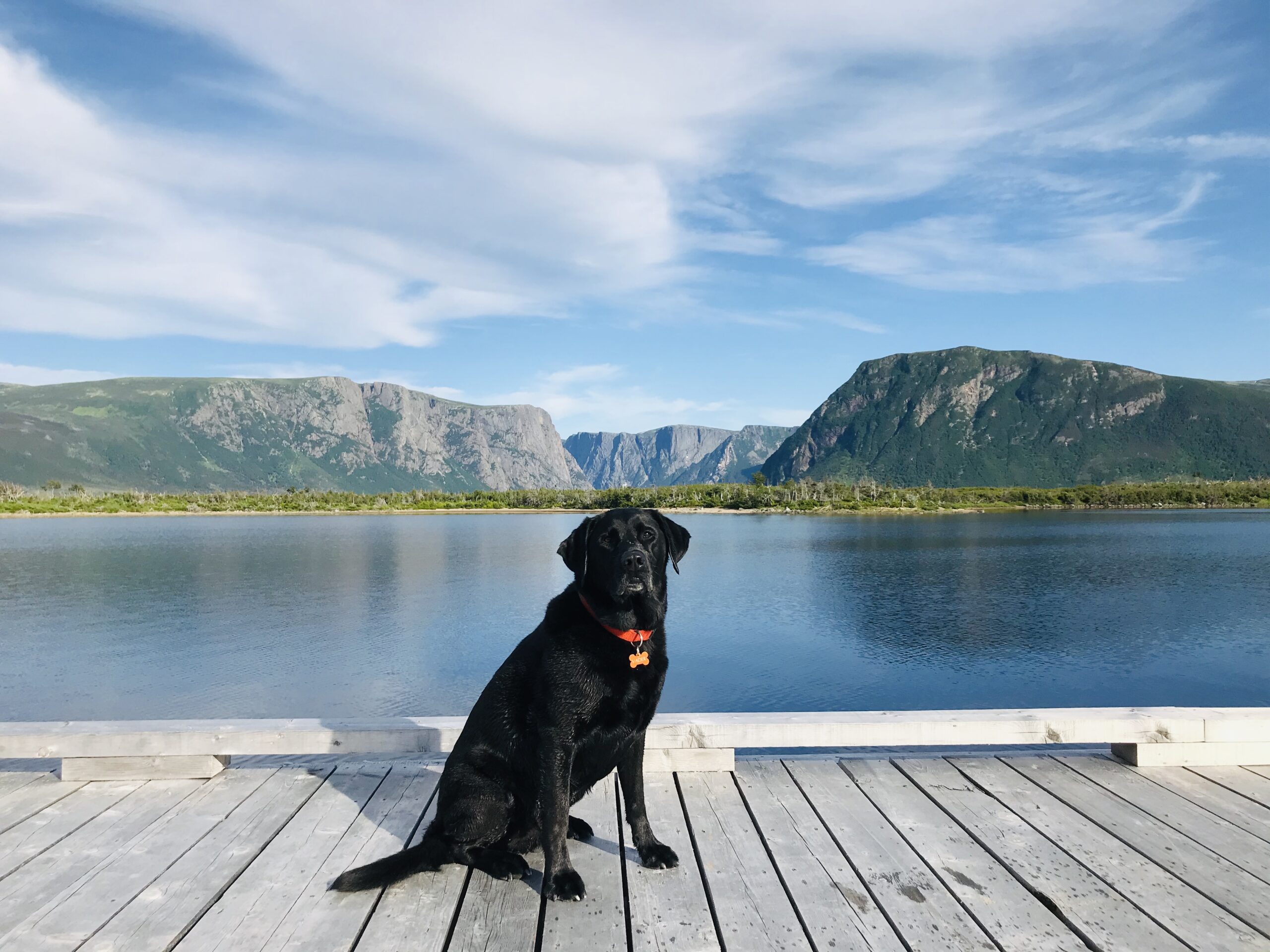 Main Gallery Display