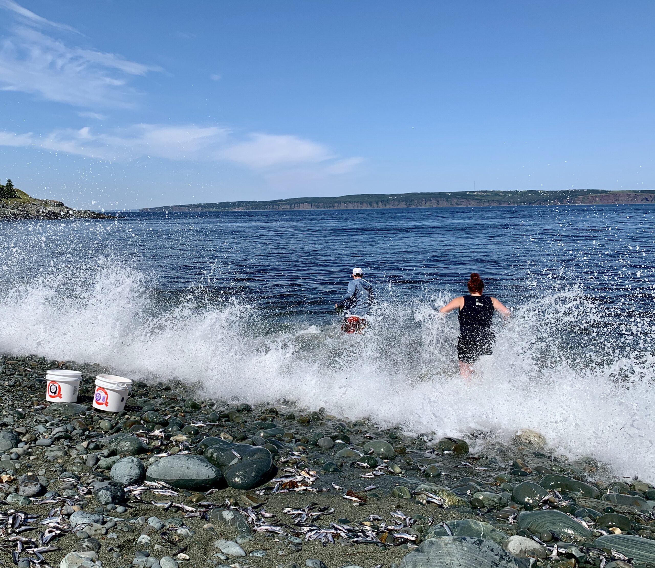 Main Gallery Display