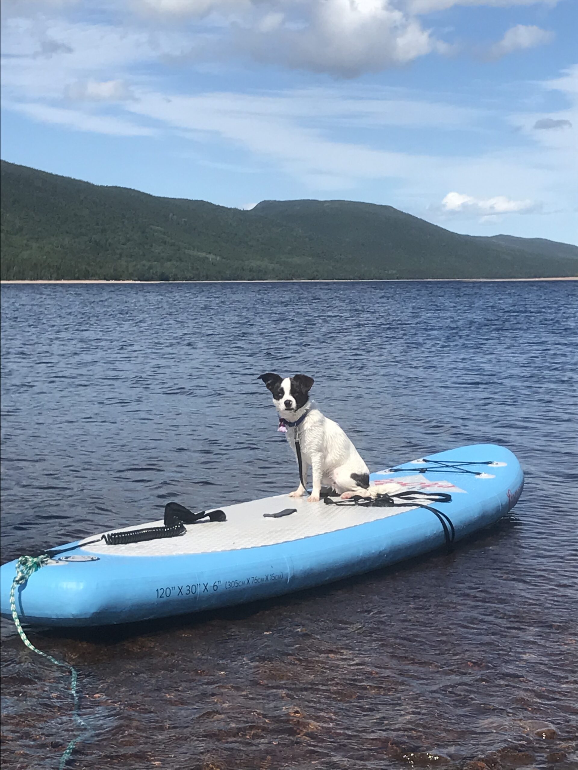 Main Gallery Display