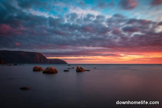Main Gallery Display