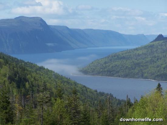 Main Gallery Display