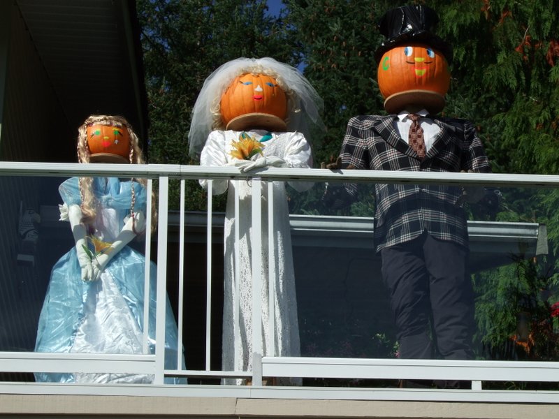 Main Gallery Display