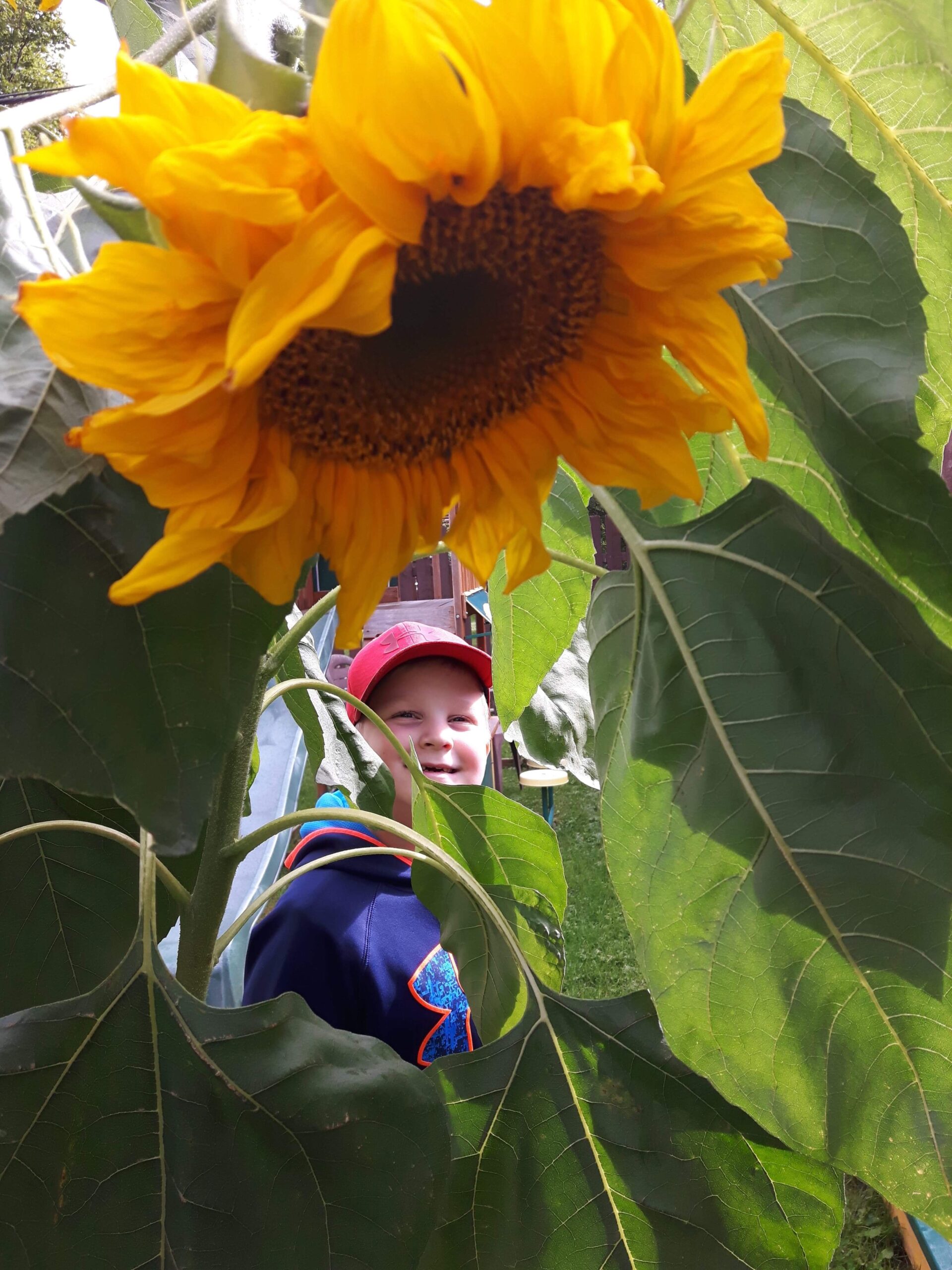 Main Gallery Display
