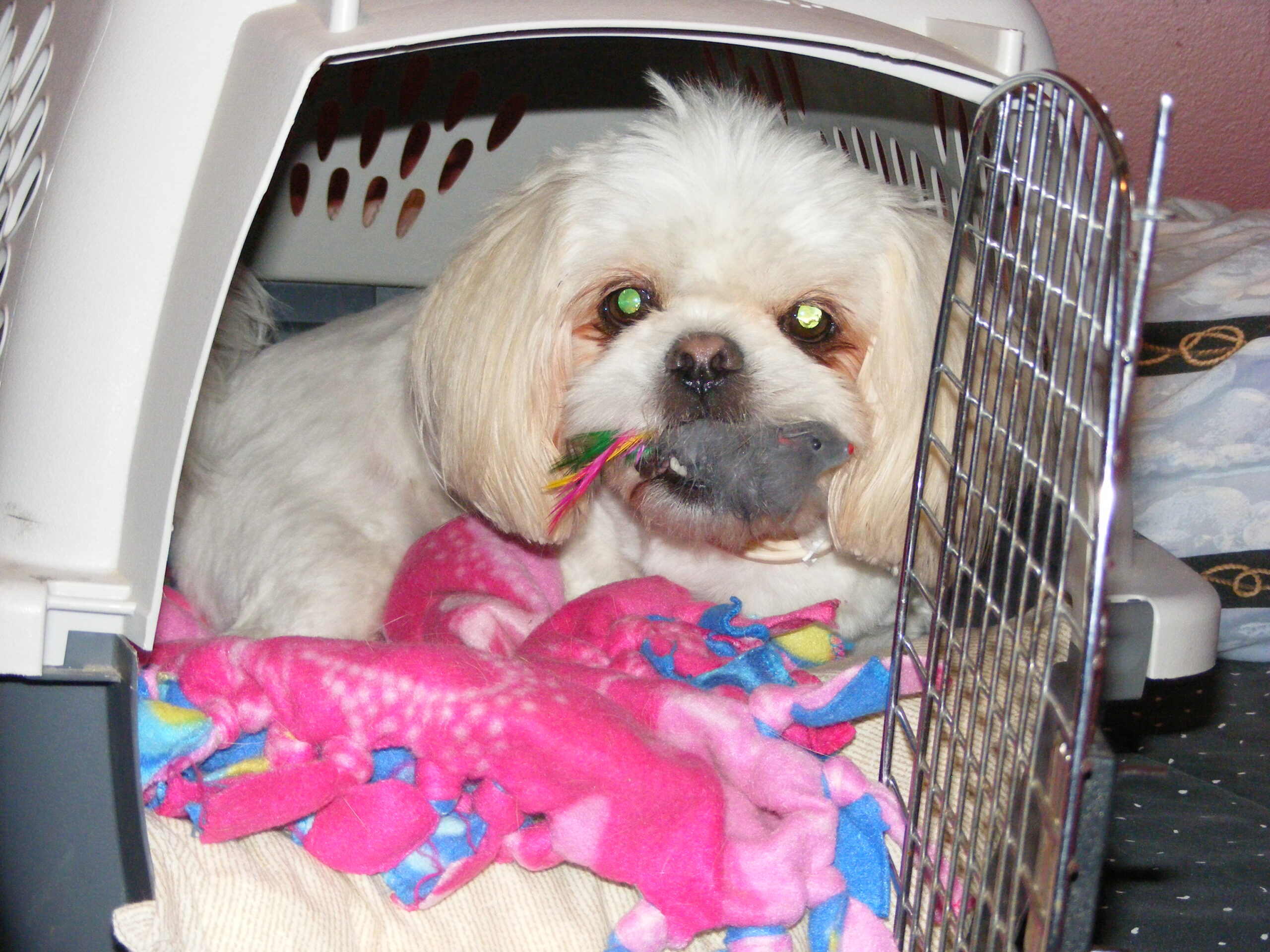 Main Gallery Display