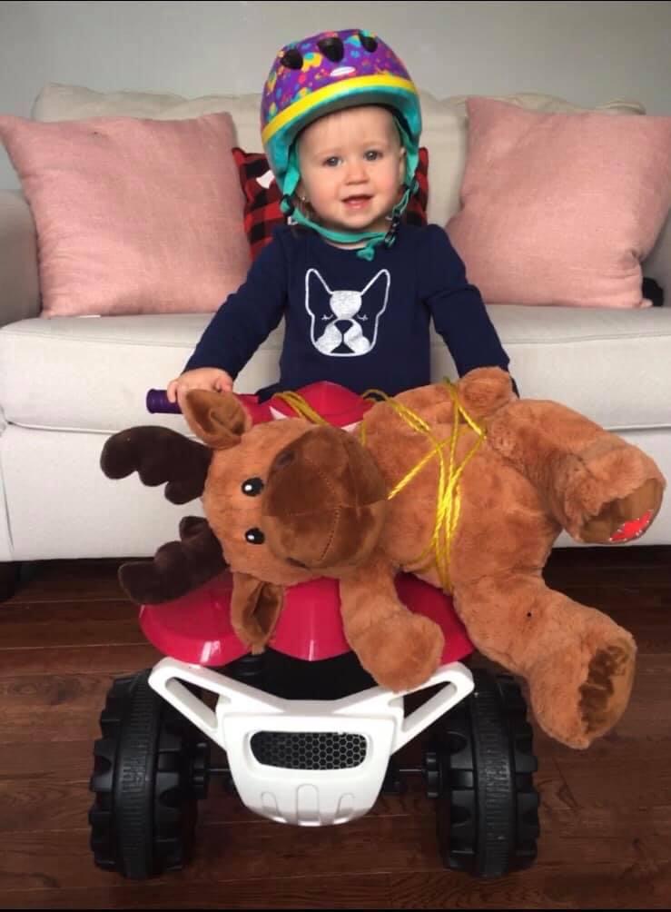 Main Gallery Display