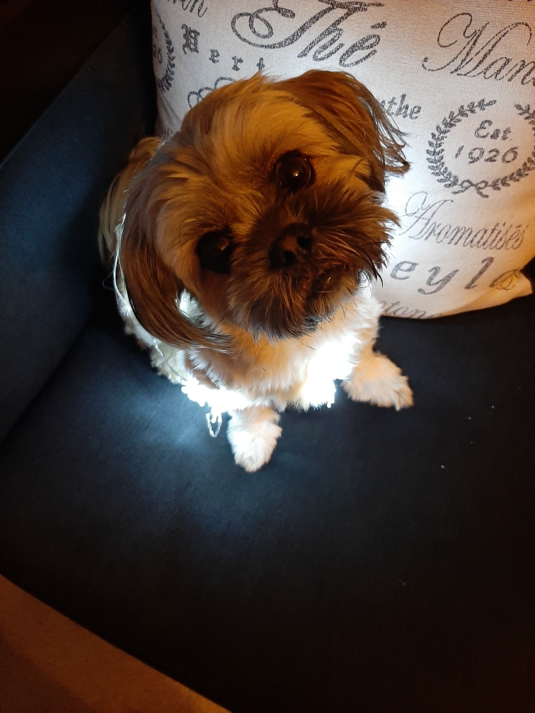 Main Gallery Display