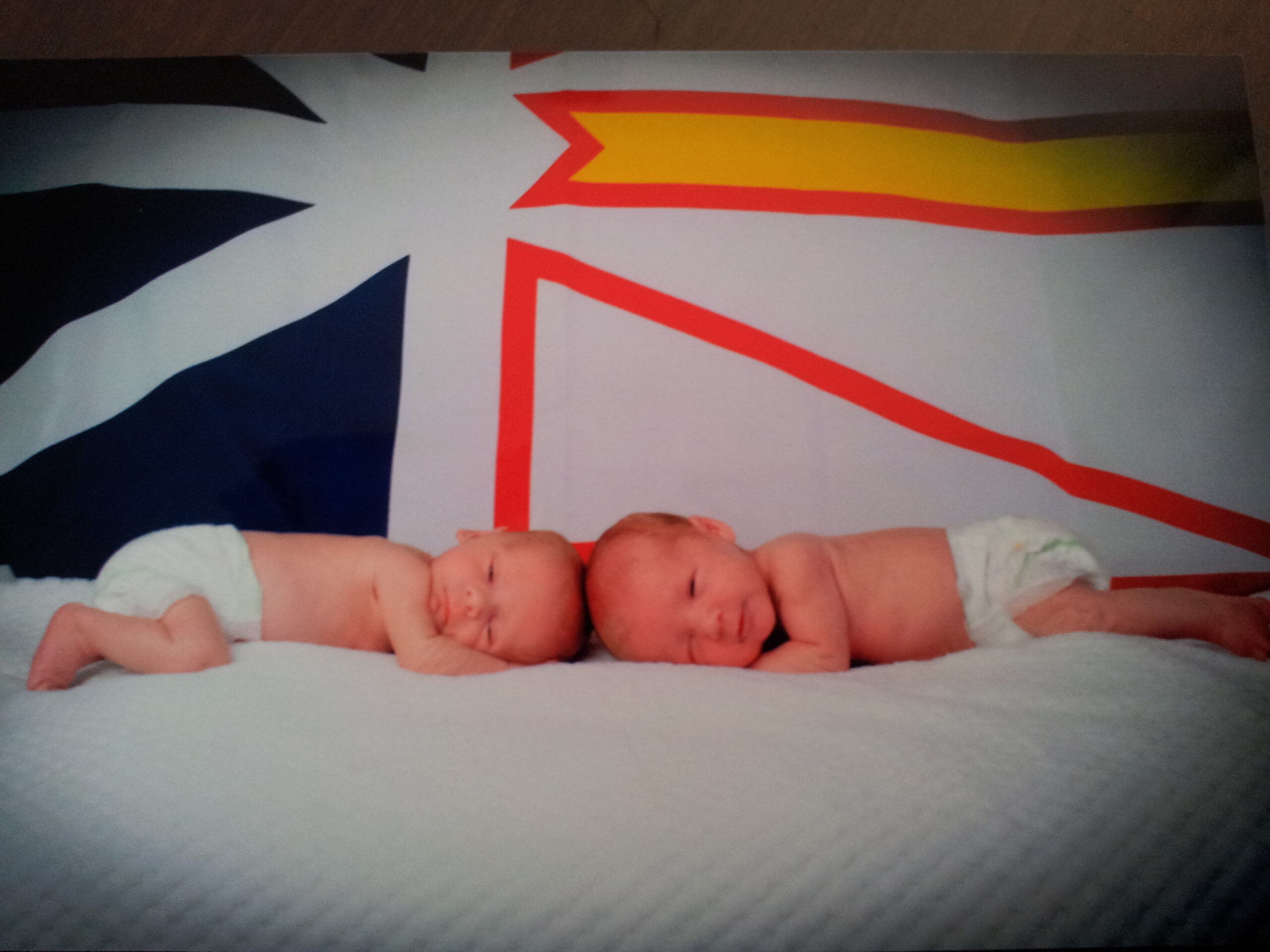 Main Gallery Display