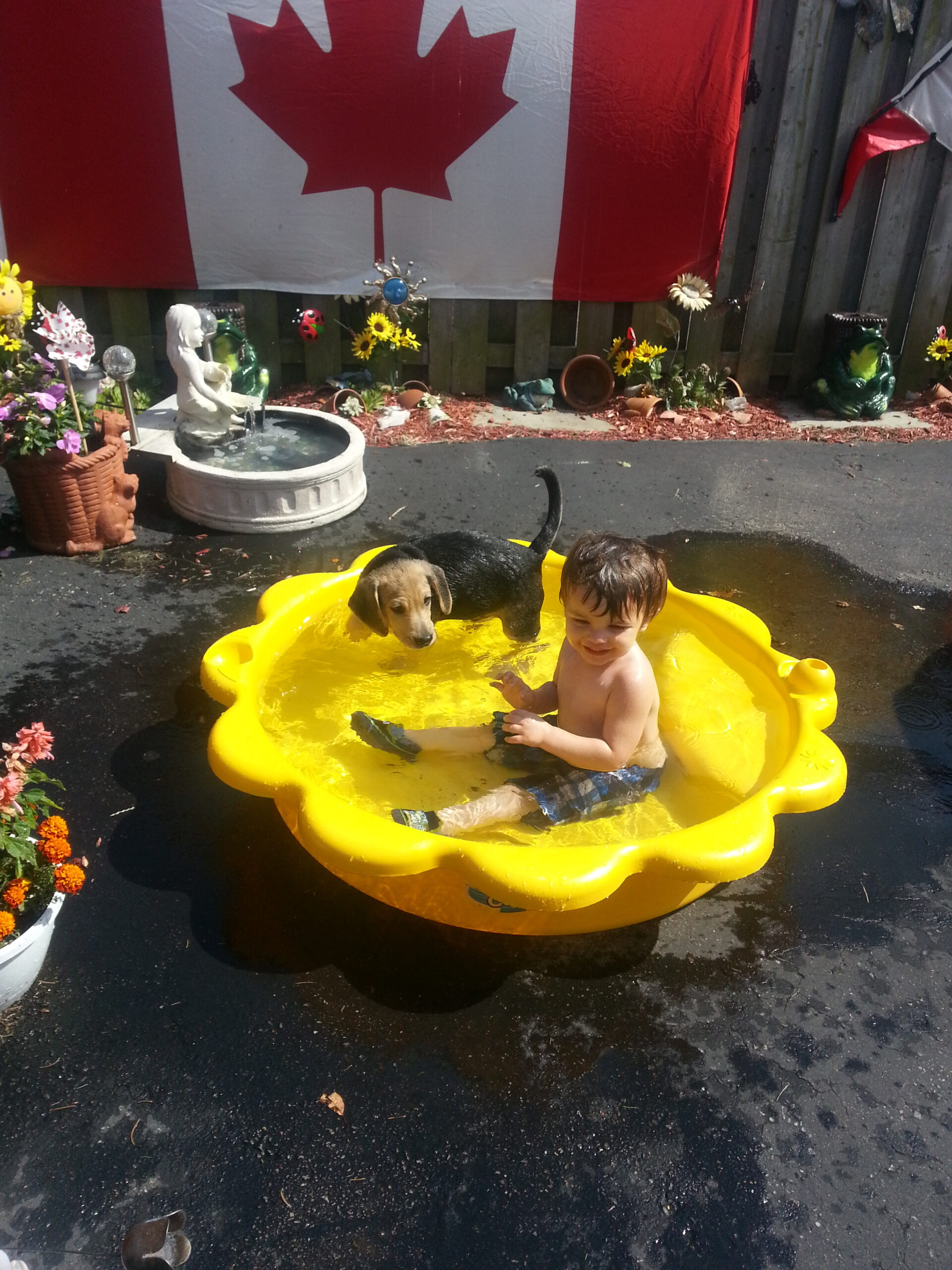 Main Gallery Display