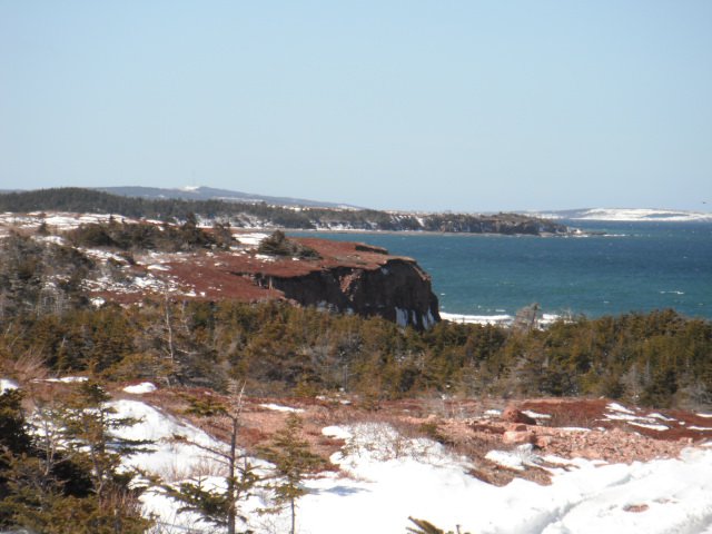 Main Gallery Display