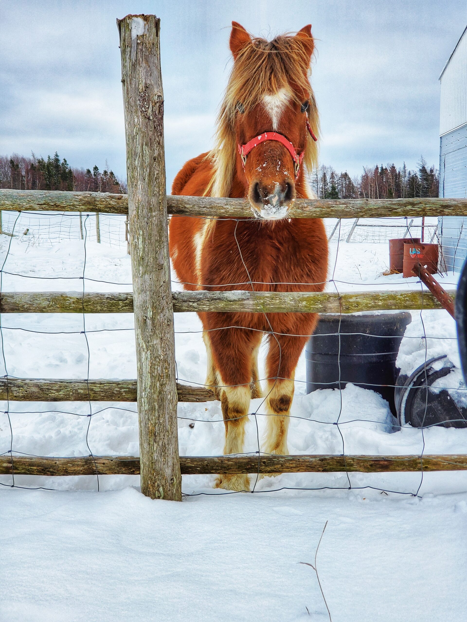 Main Gallery Display