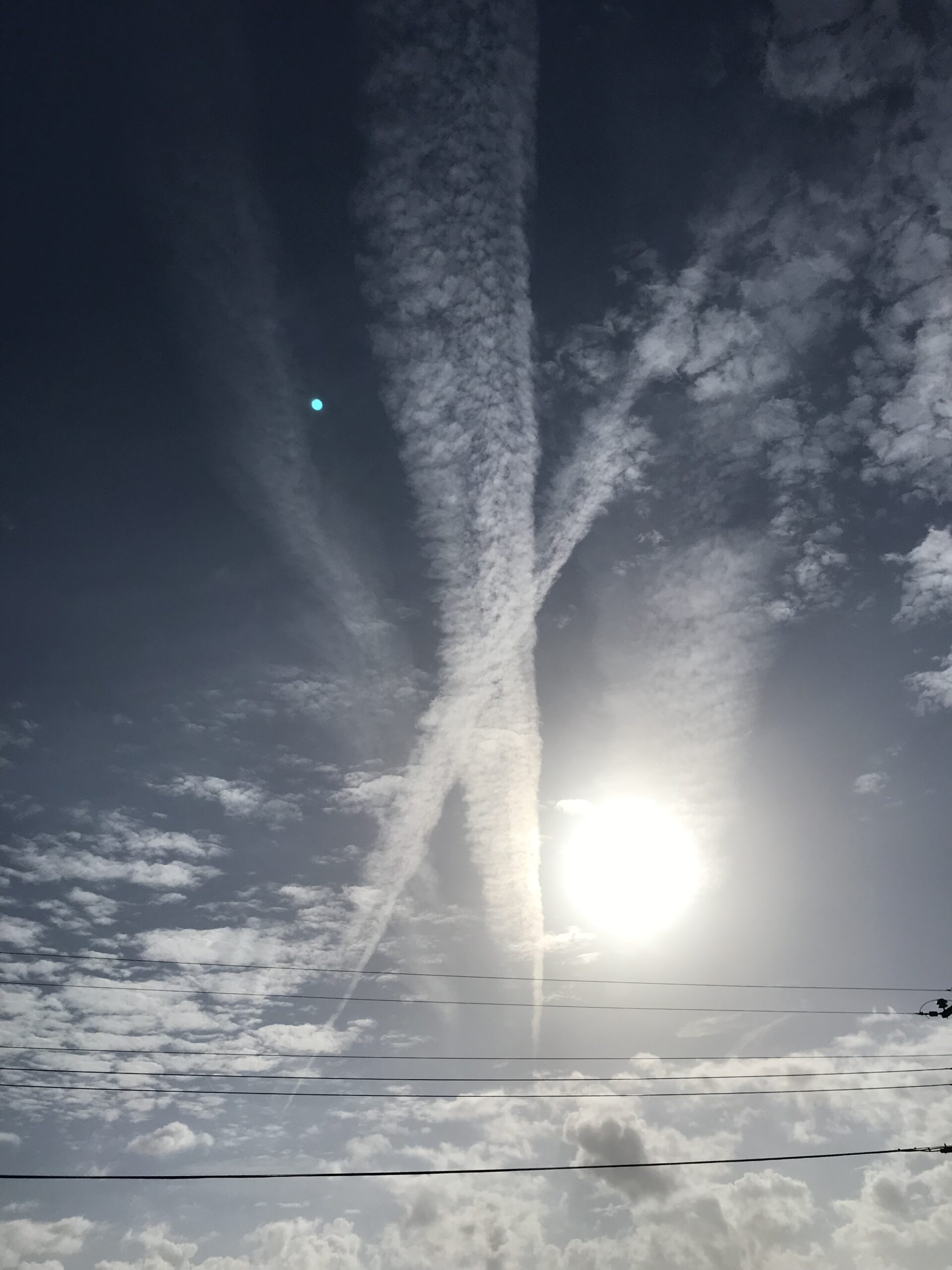 Main Gallery Display