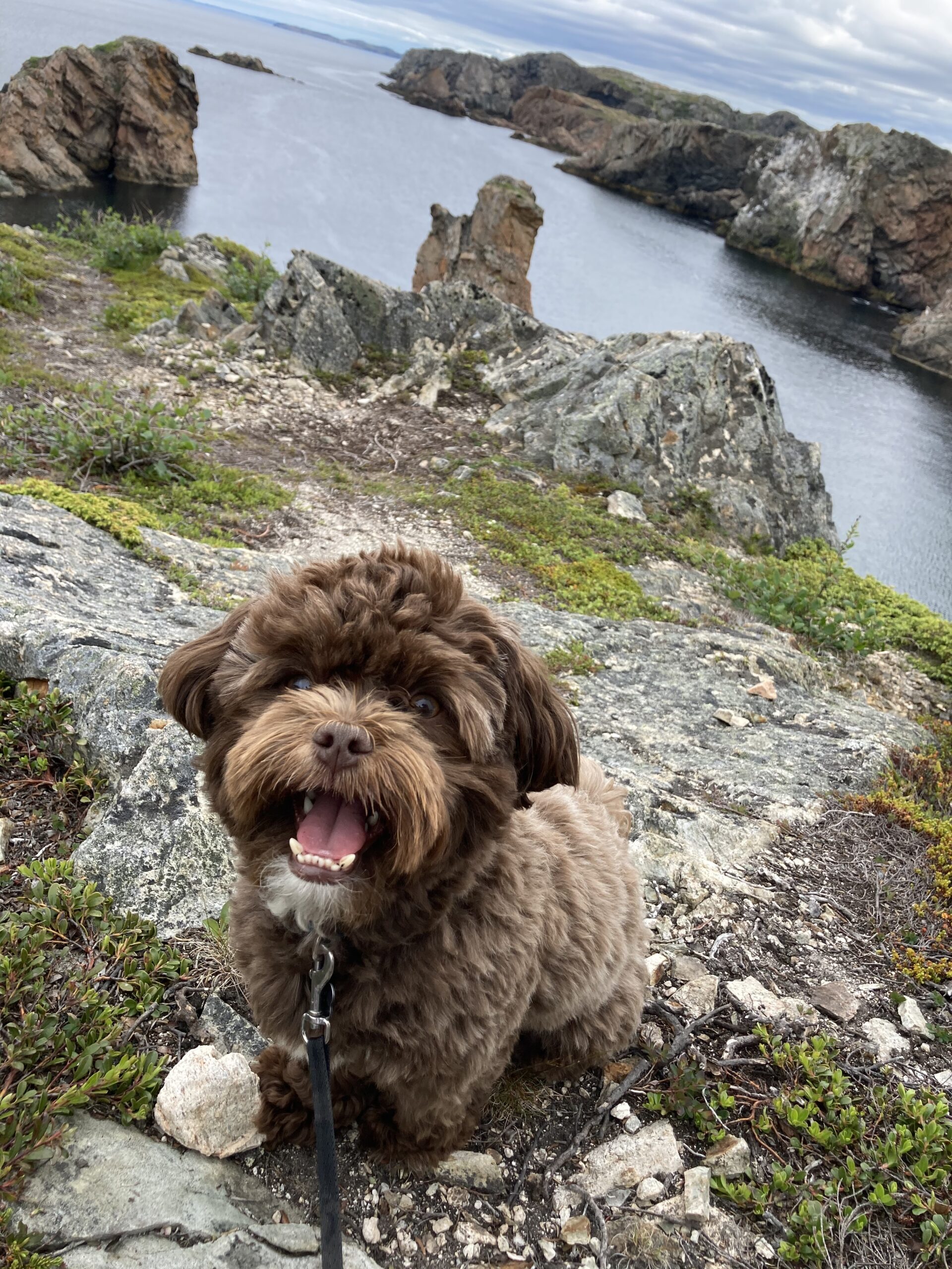 Main Gallery Display