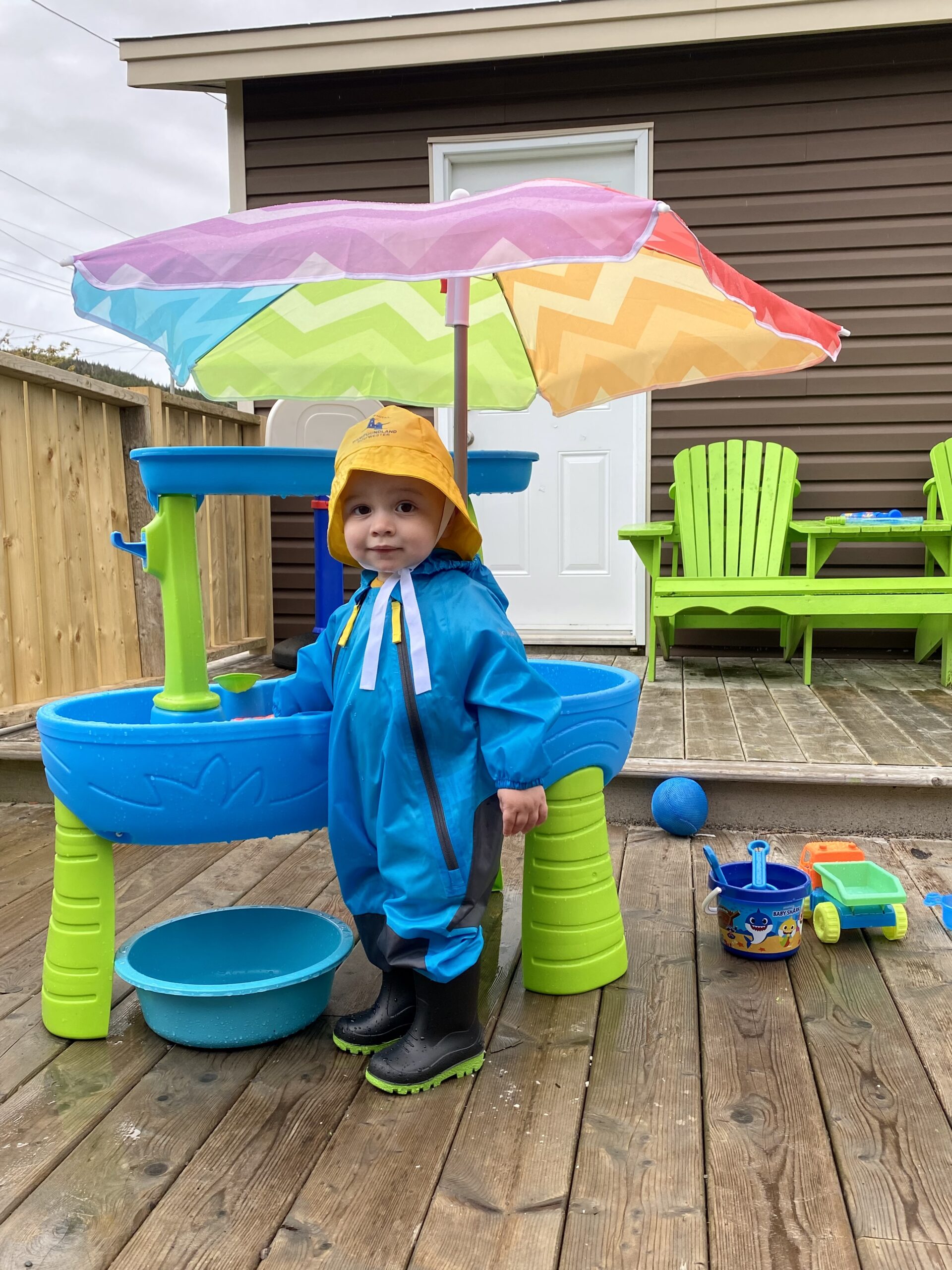 Main Gallery Display