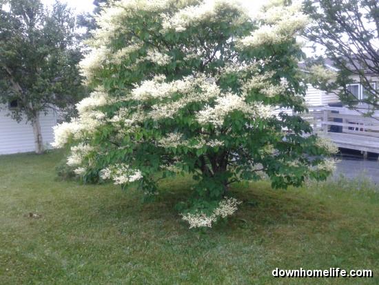 Main Gallery Display