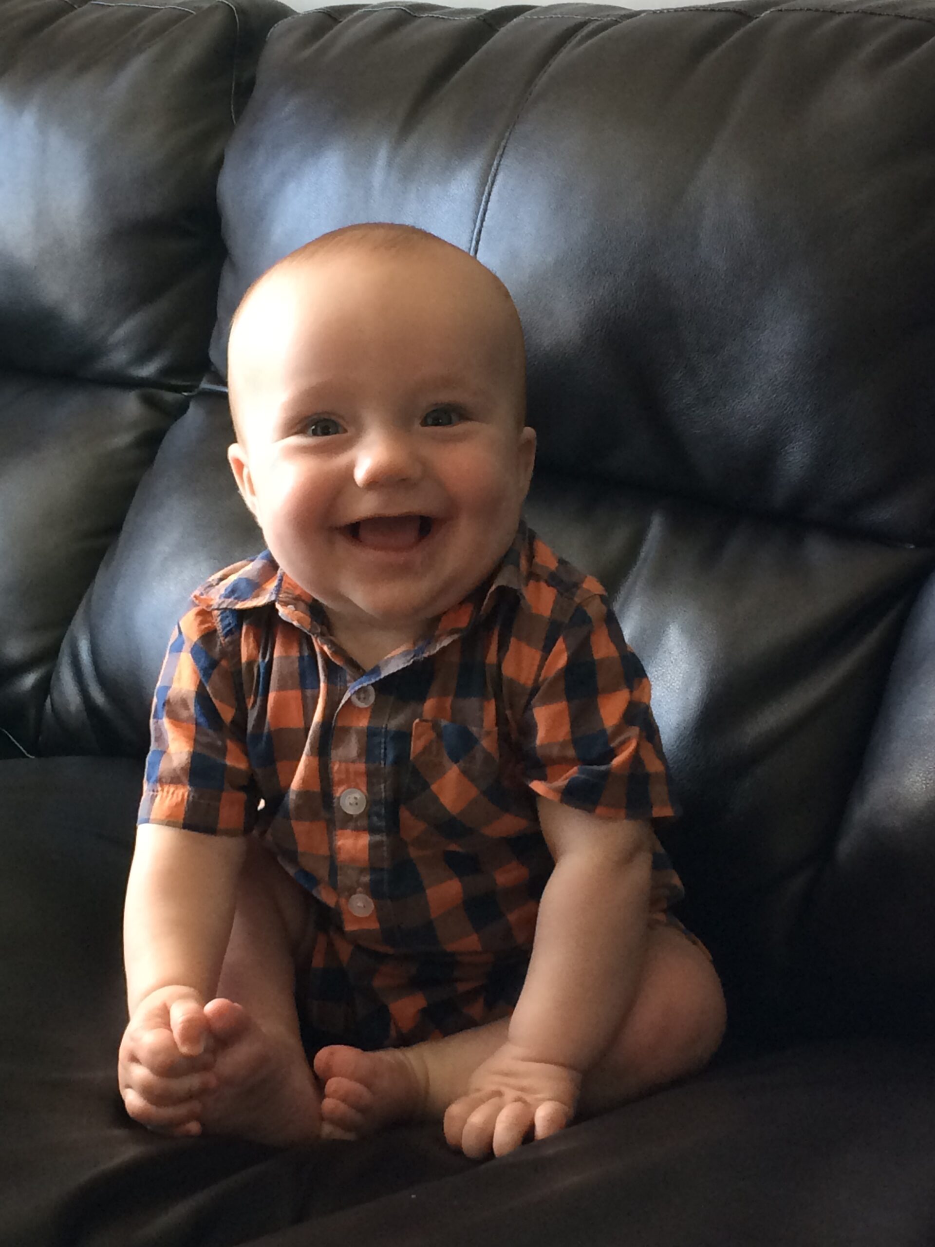 Main Gallery Display