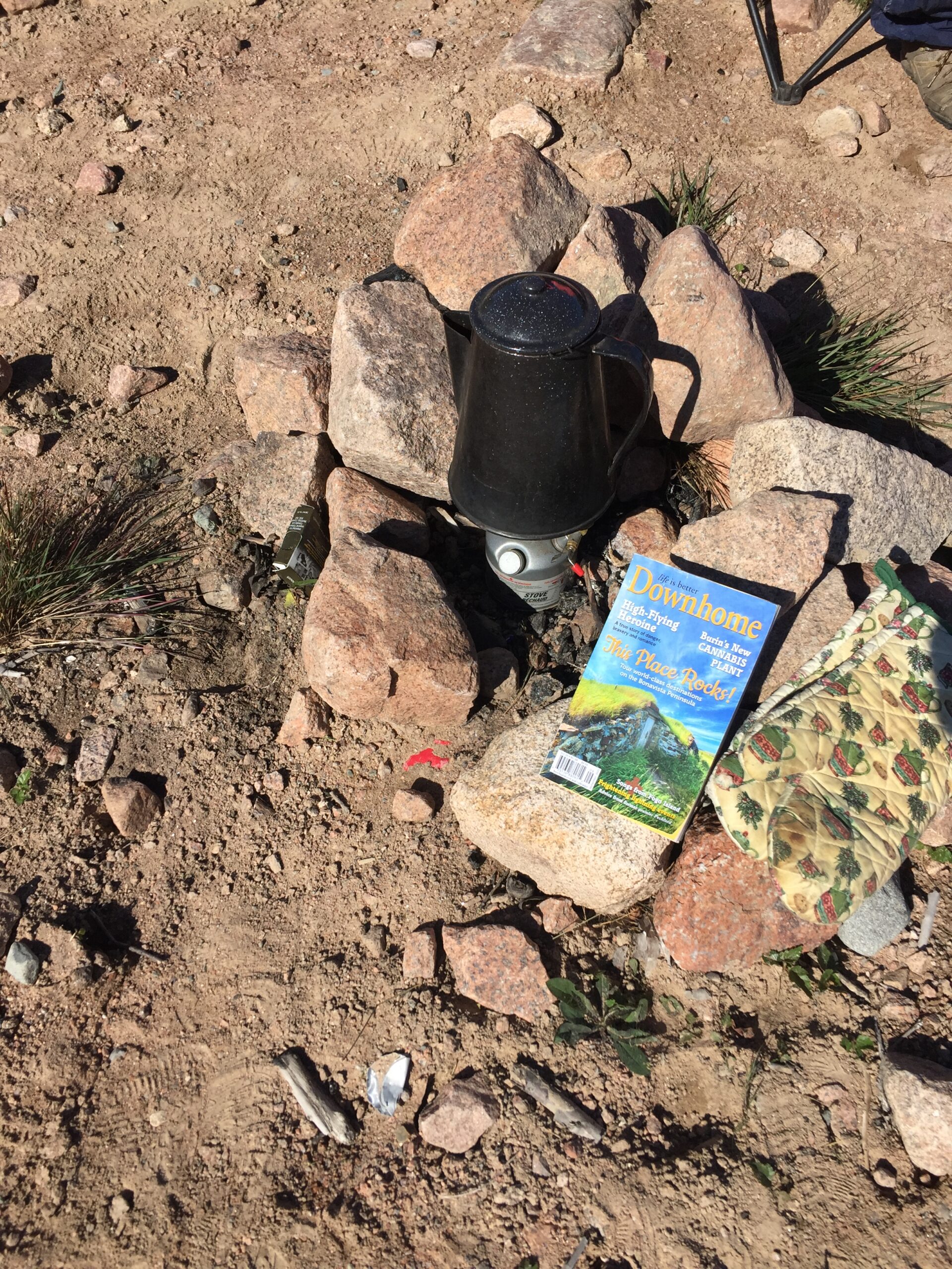 Main Gallery Display