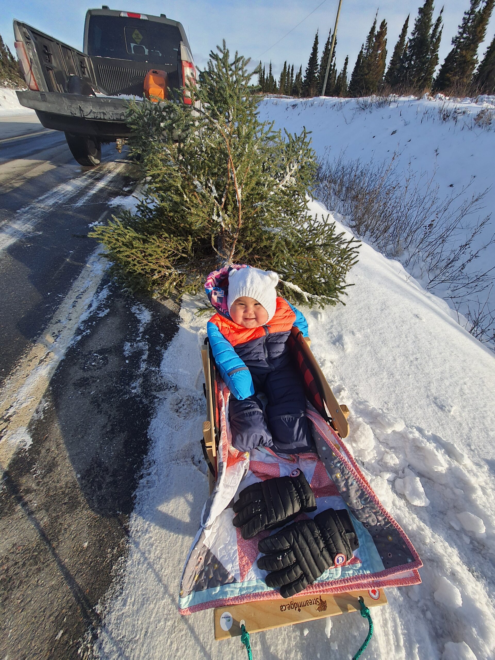 Main Gallery Display