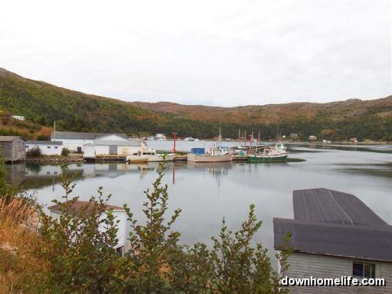 Main Gallery Display
