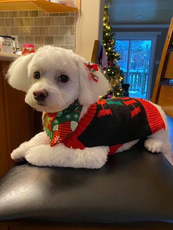 Main Gallery Display