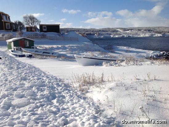 Main Gallery Display