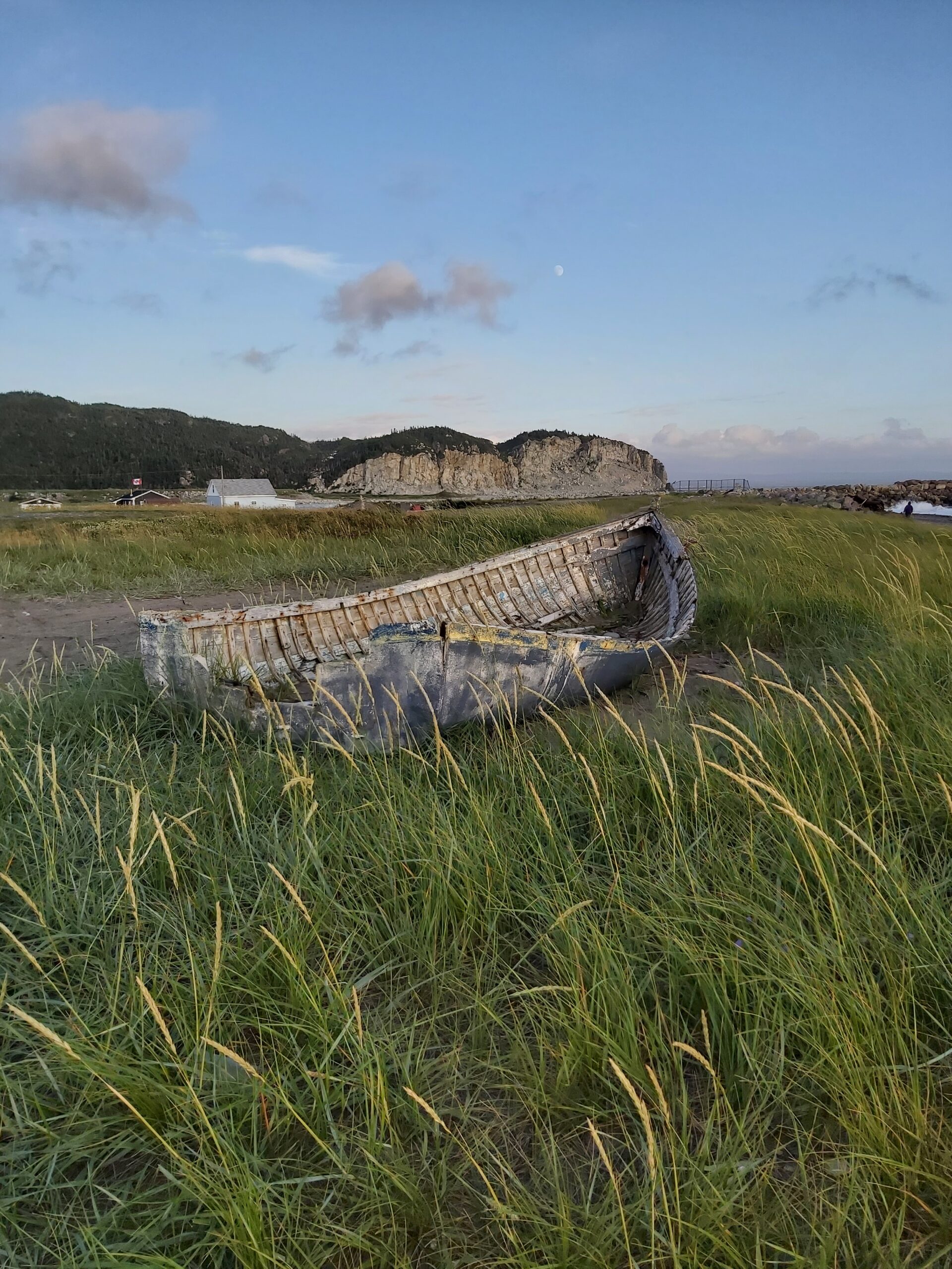 Main Gallery Display