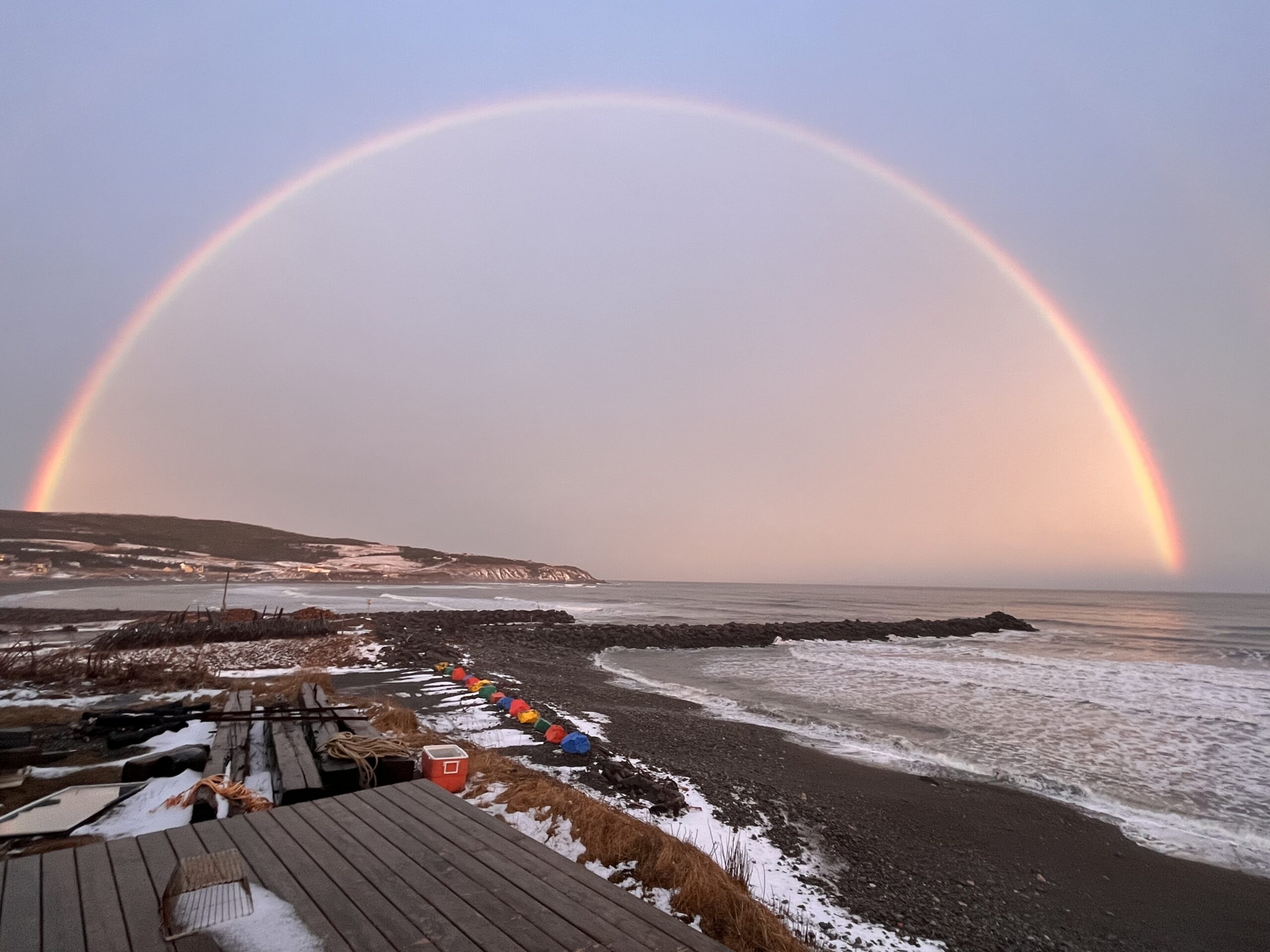 Main Gallery Display