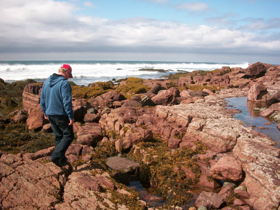 Main Gallery Display