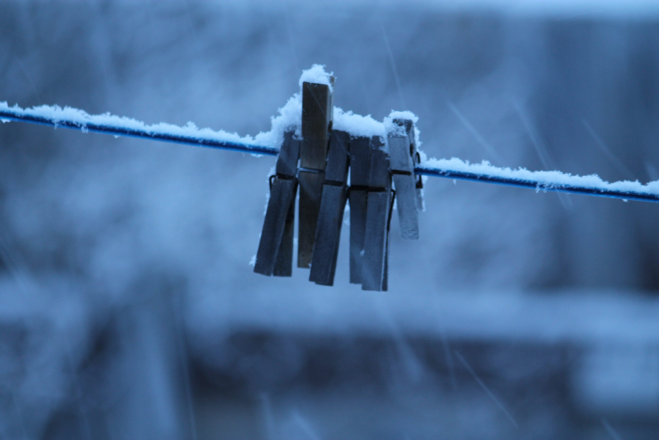 Main Gallery Display