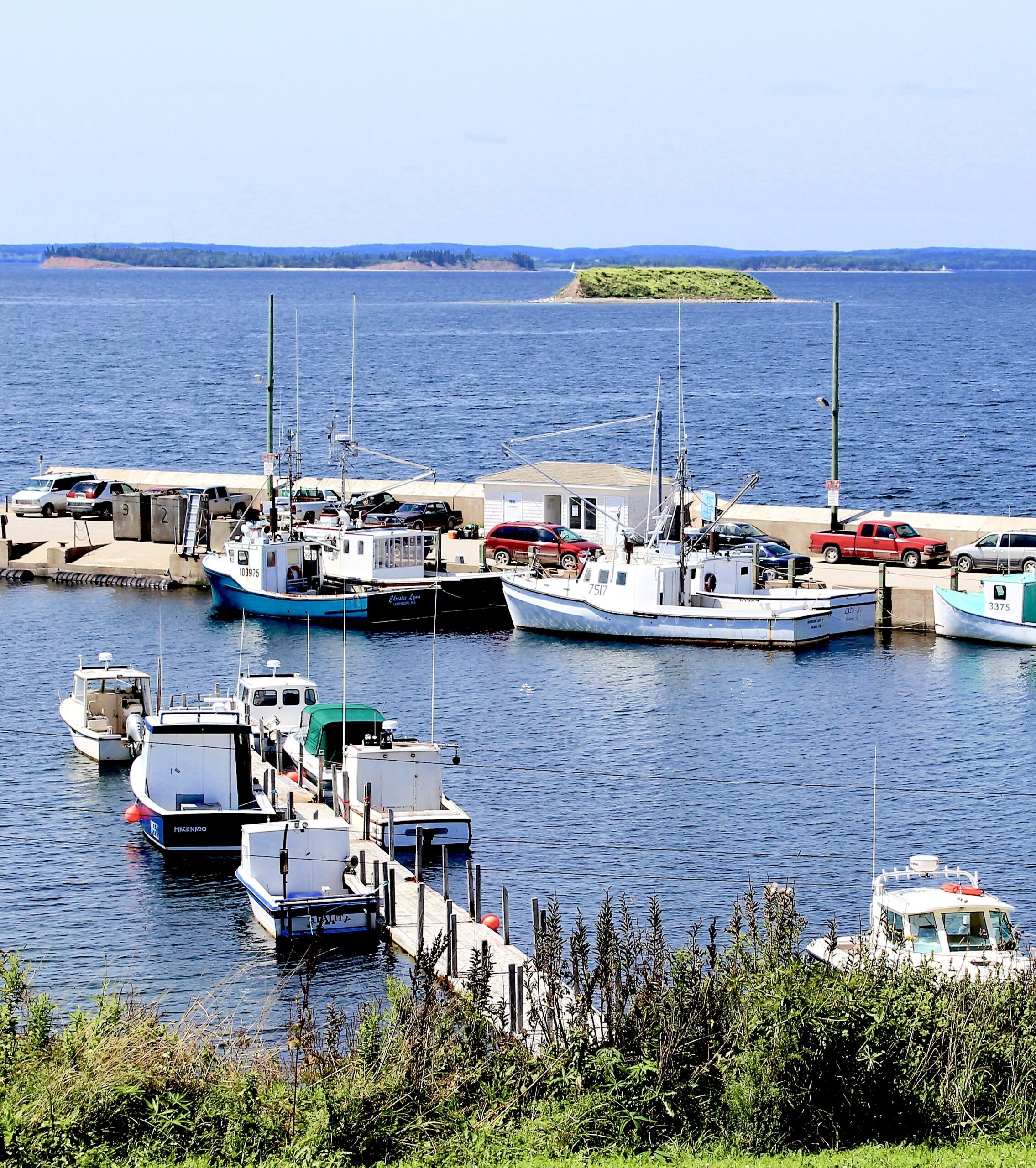Main Gallery Display