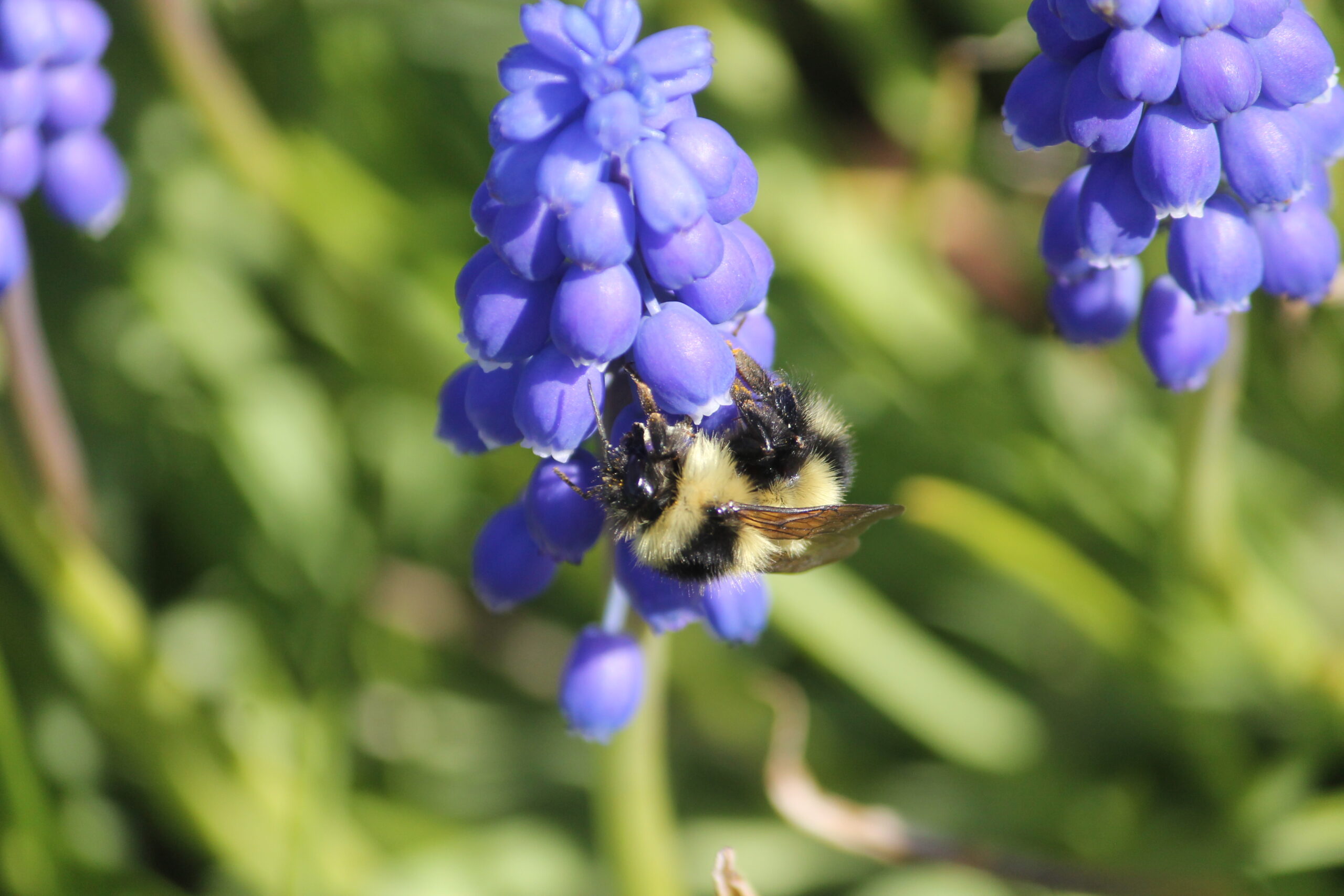 Main Gallery Display