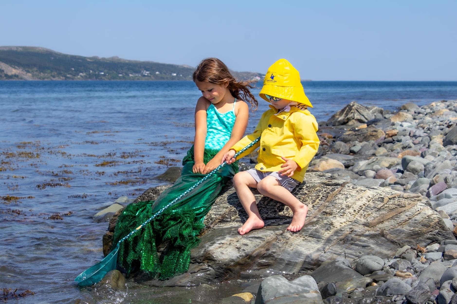 Main Gallery Display
