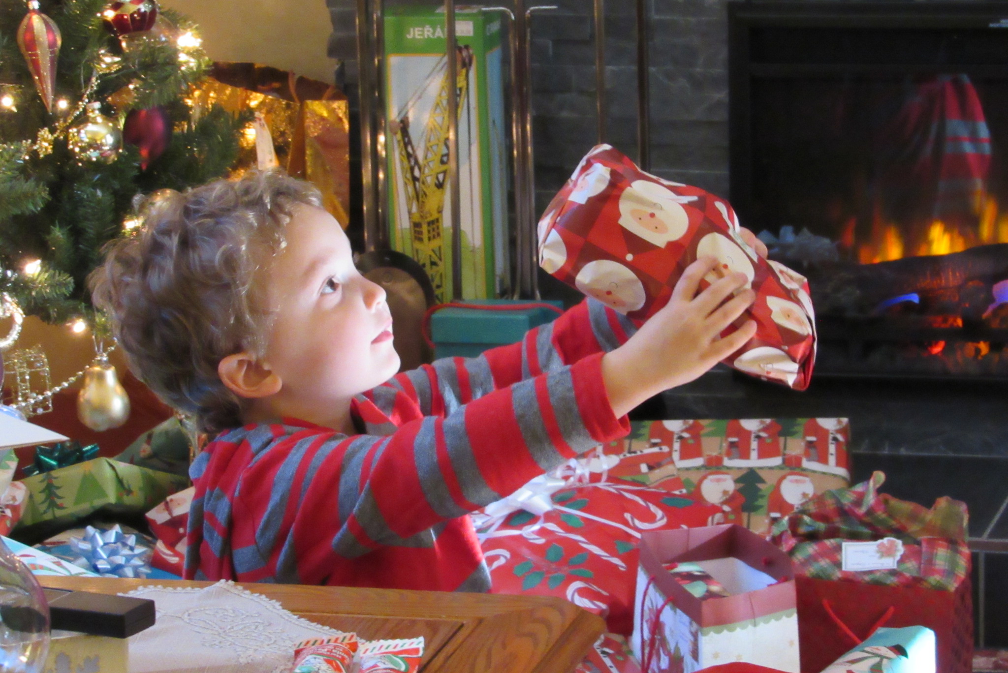 Main Gallery Display