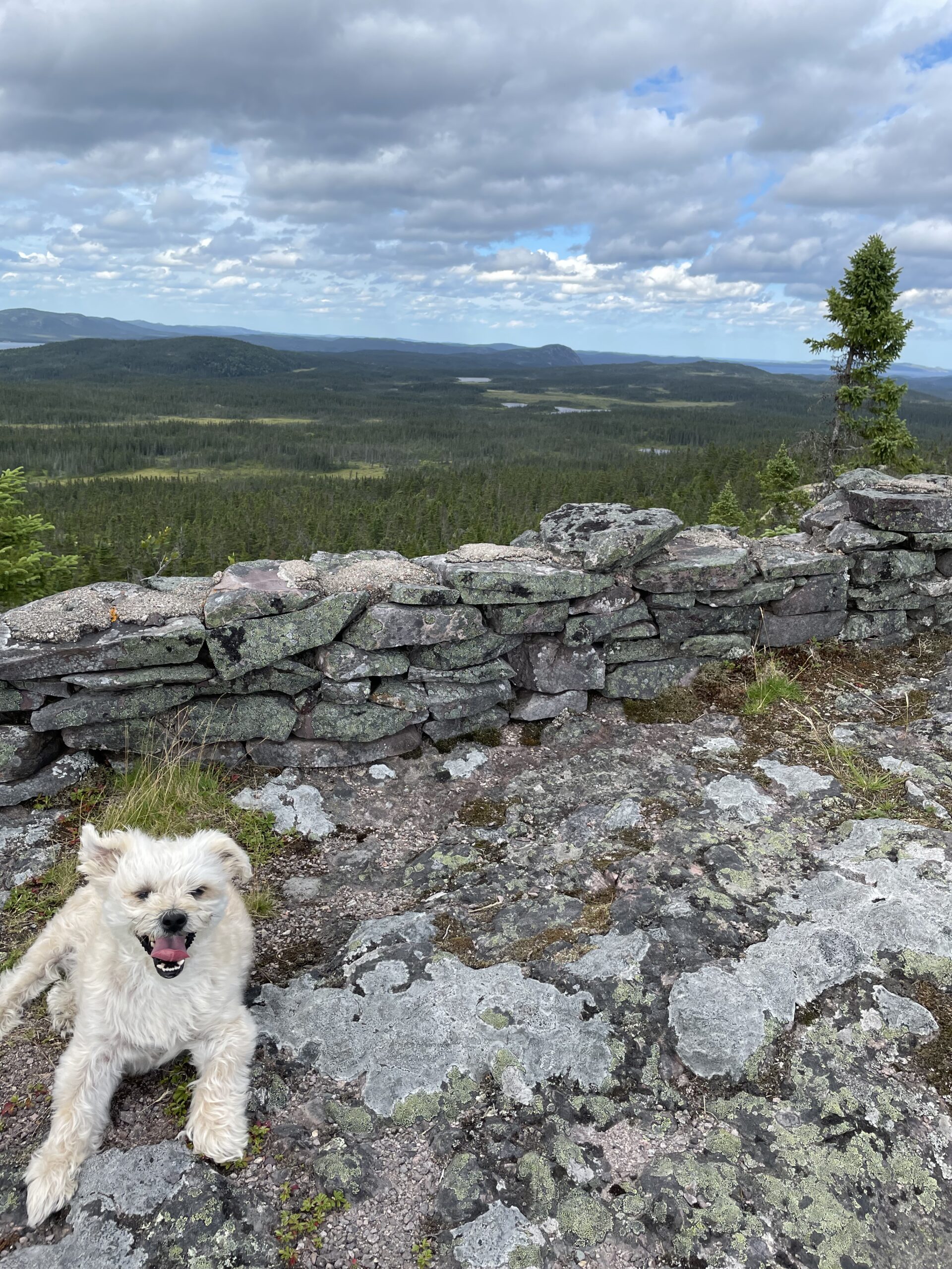 Main Gallery Display