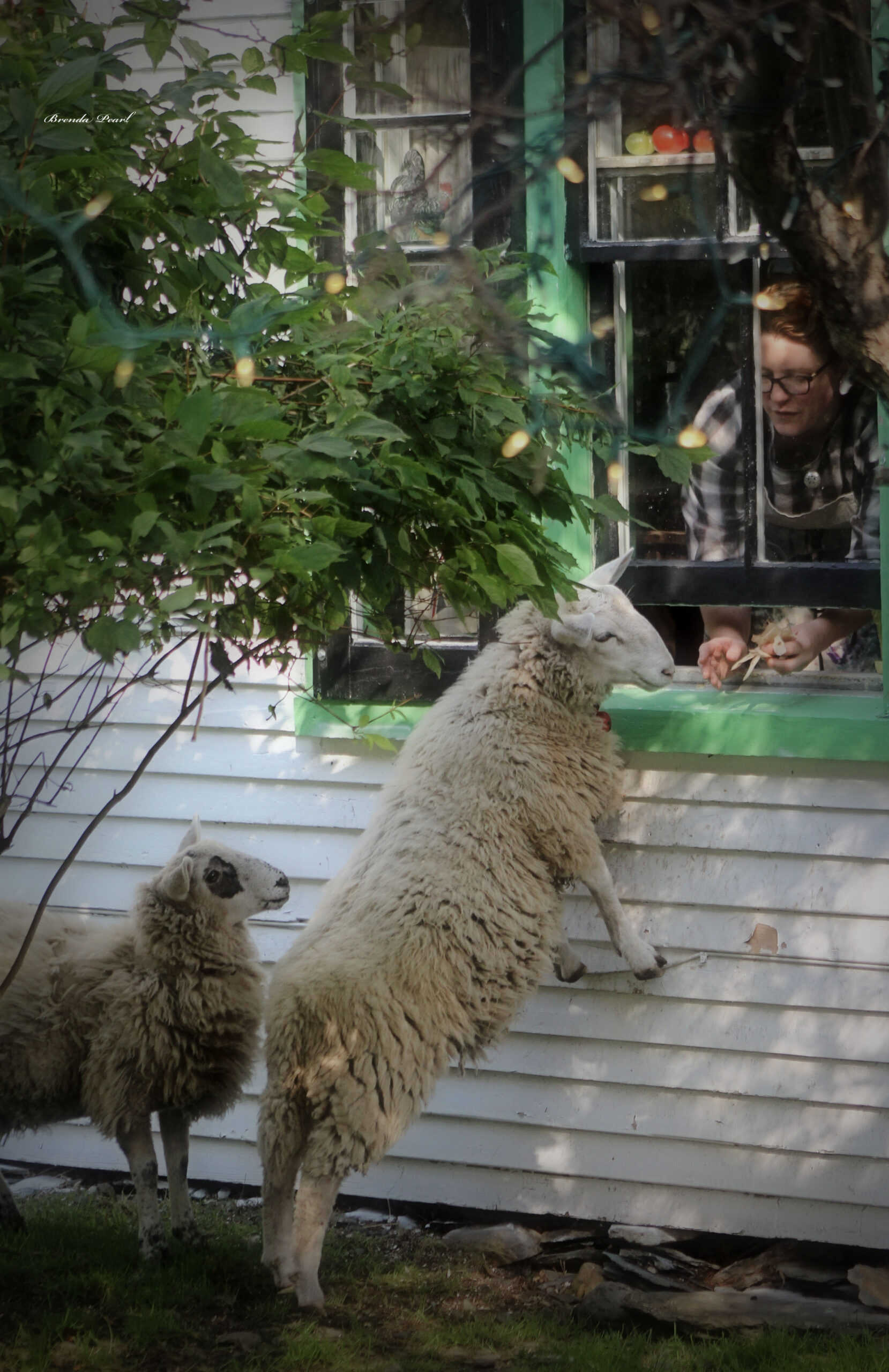 Main Gallery Display