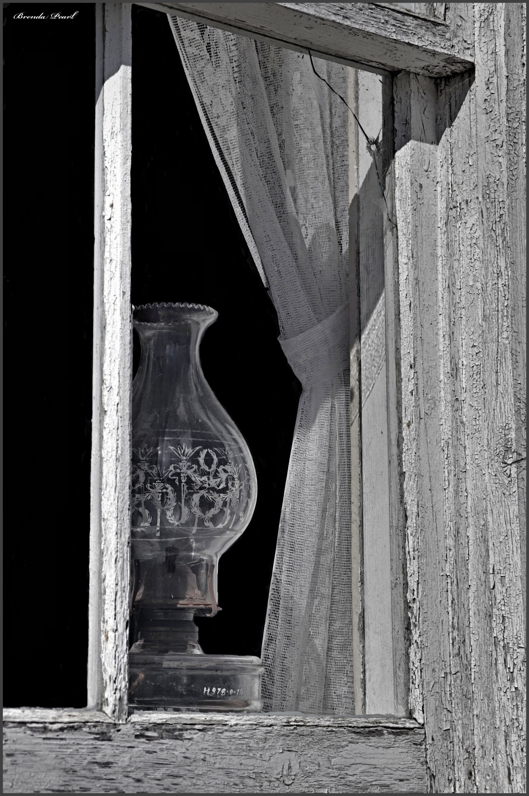 Main Gallery Display