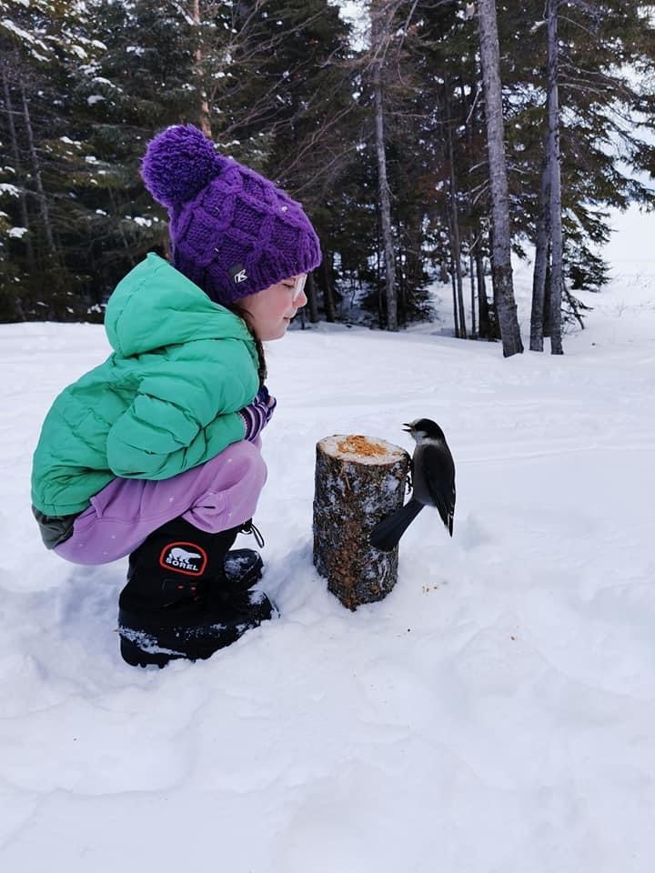 Main Gallery Display