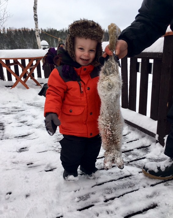 Main Gallery Display