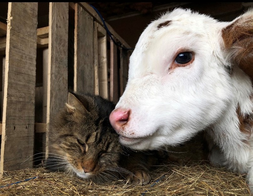 Main Gallery Display
